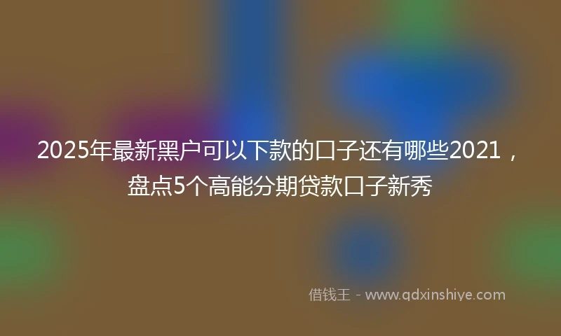2025年最新黑户可以下款的口子还有哪些2021，盘点5个高能分期贷款口子新秀