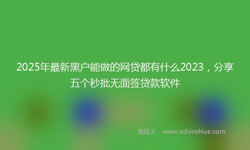 2025年最新黑户能做的网贷都有什么2023，分享五个秒批无面签贷款软件