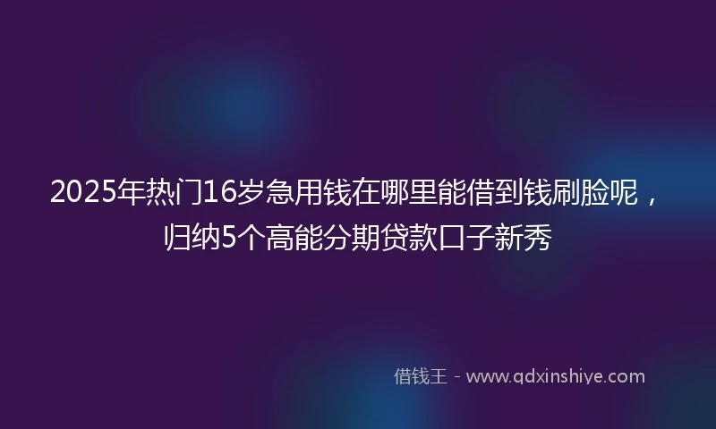 2025年热门16岁急用钱在哪里能借到钱刷脸呢，归纳5个高能分期贷款口子新秀