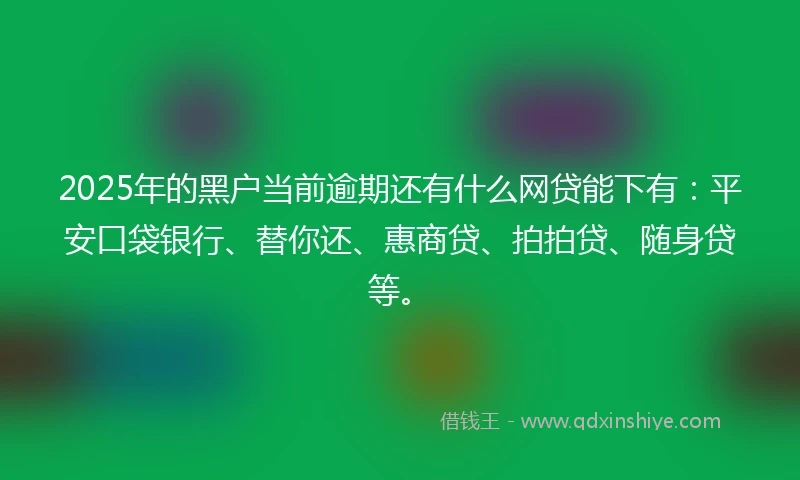2025年的黑户当前逾期还有什么网贷能下有：平安口袋银行、替你还、惠商贷、拍拍贷、随身贷等。