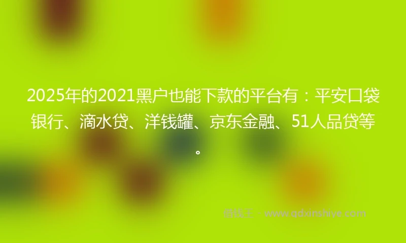 2025年的2021黑户也能下款的平台有：平安口袋银行、滴水贷、洋钱罐、京东金融、51人品贷等。