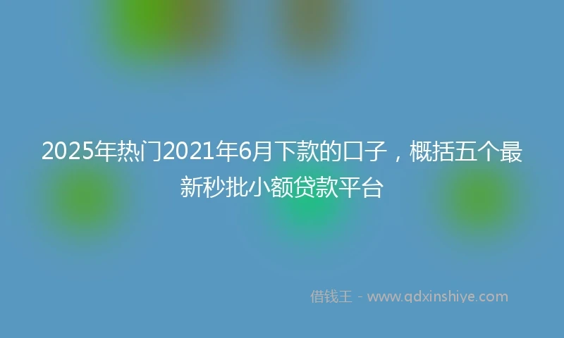 2025年热门2021年6月下款的口子，概括五个最新秒批小额贷款平台