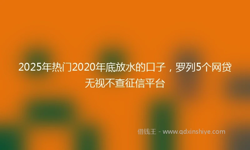 2025年热门2020年底放水的口子，罗列5个网贷无视不查征信平台