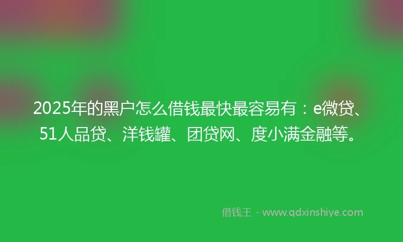 2025年的黑户怎么借钱最快最容易有：e微贷、51人品贷、洋钱罐、团贷网、度小满金融等。