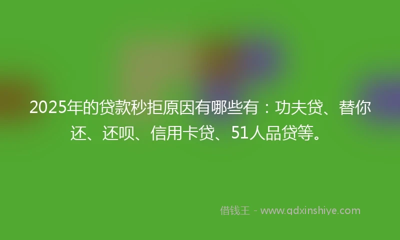 2025年的贷款秒拒原因有哪些有：功夫贷、替你还、还呗、信用卡贷、51人品贷等。