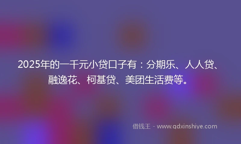 2025年的一千元小贷口子有：分期乐、人人贷、融逸花、柯基贷、美团生活费等。