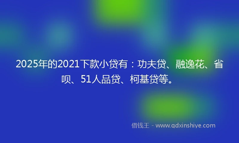 2025年的2021下款小贷有：功夫贷、融逸花、省呗、51人品贷、柯基贷等。