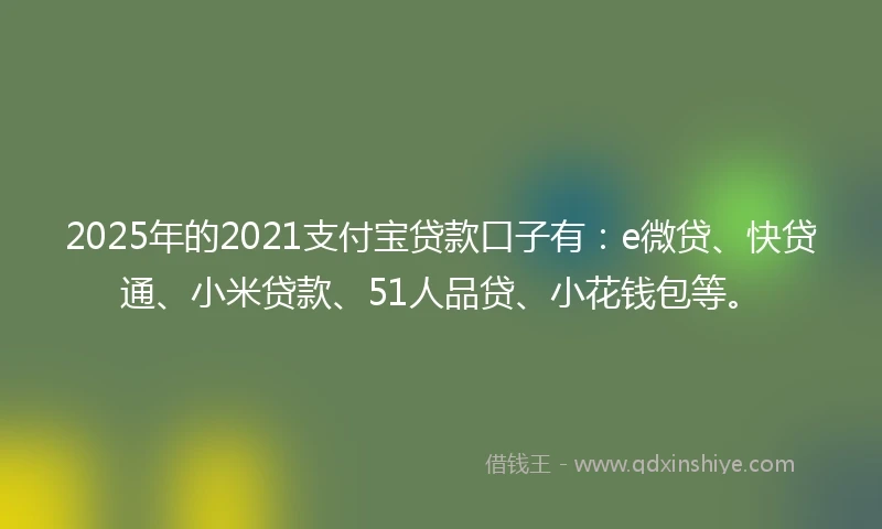 2025年的2021支付宝贷款口子有：e微贷、快贷通、小米贷款、51人品贷、小花钱包等。
