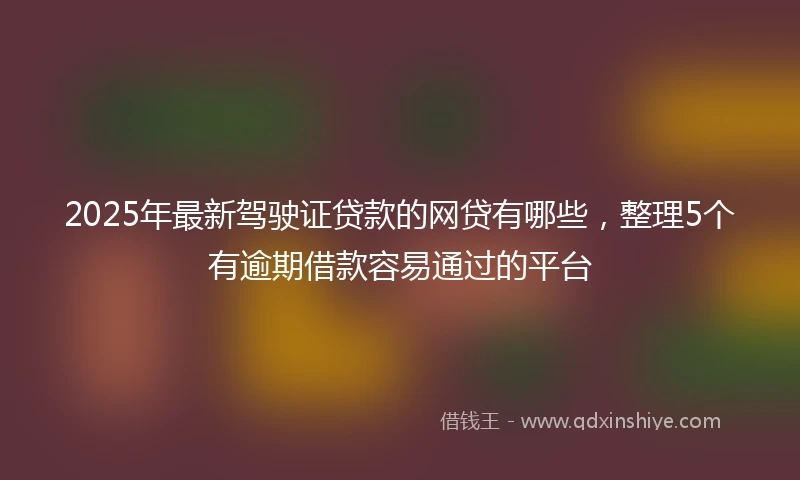 2025年最新驾驶证贷款的网贷有哪些，整理5个有逾期借款容易通过的平台