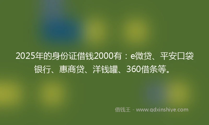 2025年的身份证借钱2000有：e微贷、平安口袋银行、惠商贷、洋钱罐、360借条等。