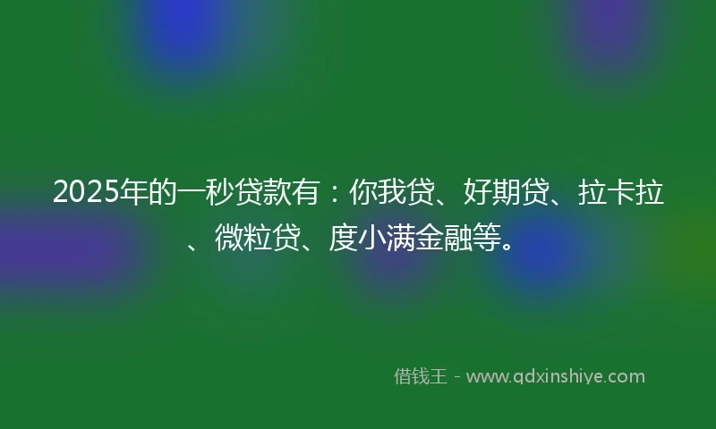 2025年的一秒贷款有：你我贷、好期贷、拉卡拉、微粒贷、度小满金融等。