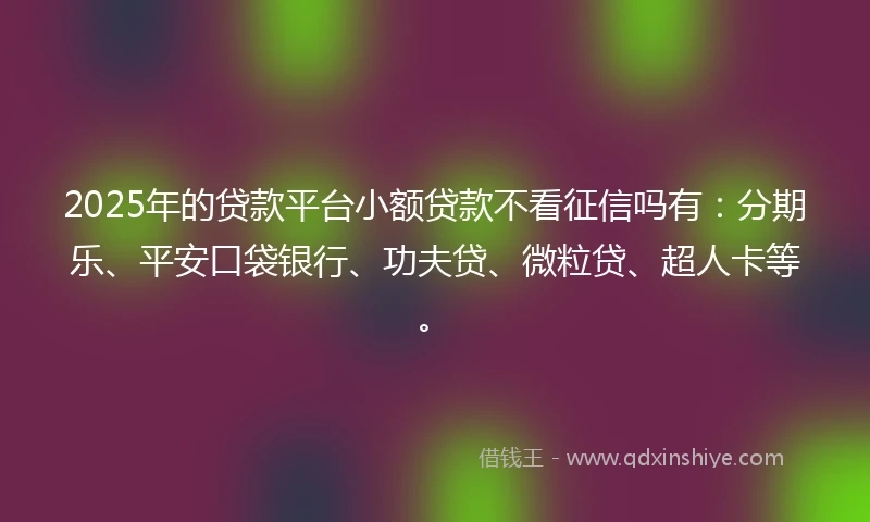 2025年的贷款平台小额贷款不看征信吗有：分期乐、平安口袋银行、功夫贷、微粒贷、超人卡等。