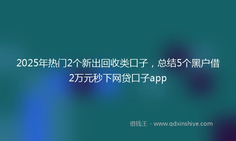 2025年热门2个新出回收类口子，总结5个黑户借2万元秒下网贷口子app