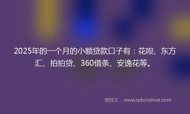 2025年的一个月的小额贷款口子有：花呗、东方汇、拍拍贷、360借条、安逸花等。