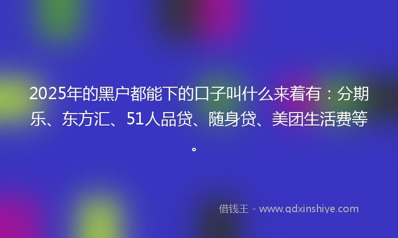 2025年的黑户都能下的口子叫什么来着有：分期乐、东方汇、51人品贷、随身贷、美团生活费等。