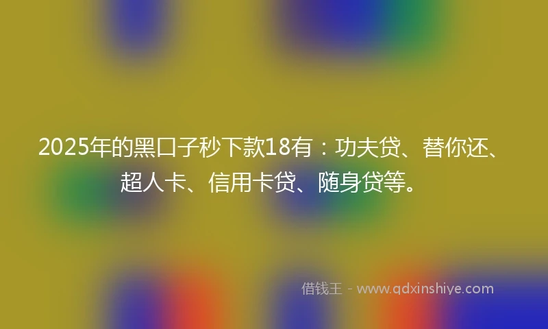 2025年的黑口子秒下款18有：功夫贷、替你还、超人卡、信用卡贷、随身贷等。