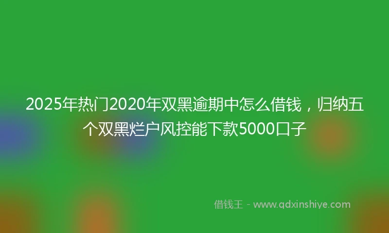 2025年热门2020年双黑逾期中怎么借钱，归纳五个双黑烂户风控能下款5000口子