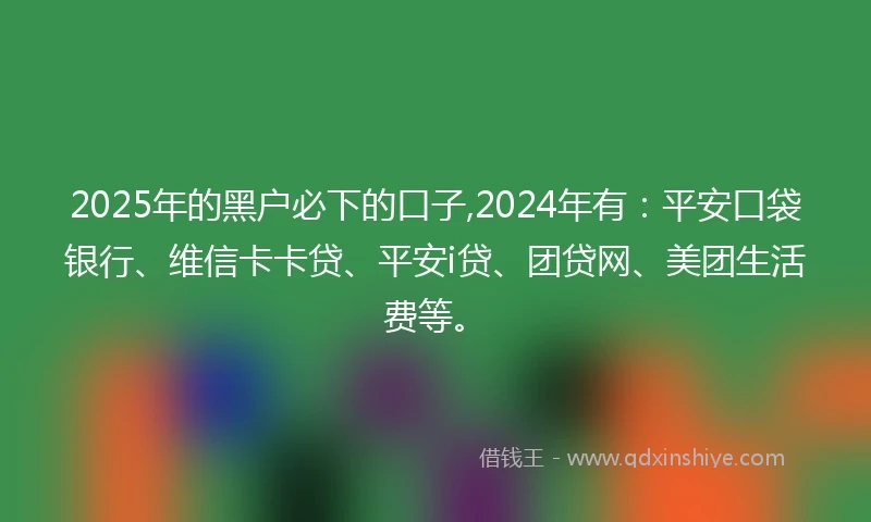 2025年的黑户必下的口子,2024年有：平安口袋银行、维信卡卡贷、平安i贷、团贷网、美团生活费等。