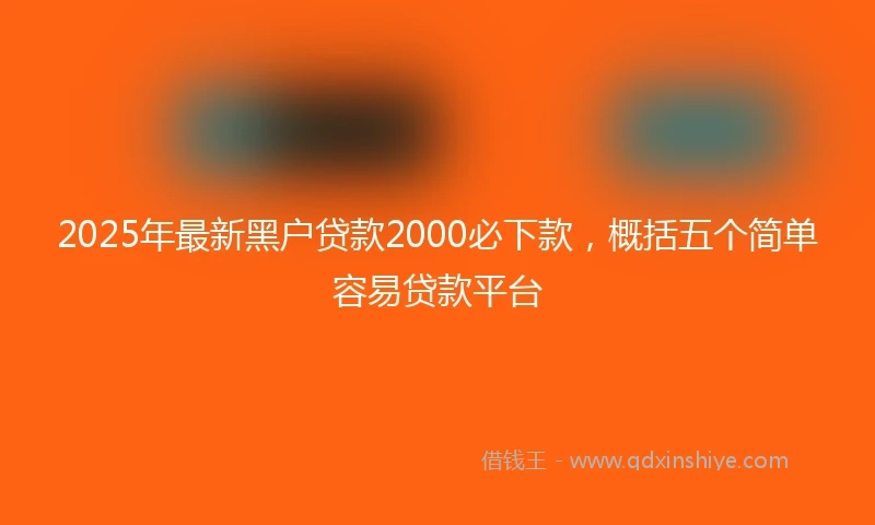 2025年最新黑户贷款2000必下款，概括五个简单容易贷款平台