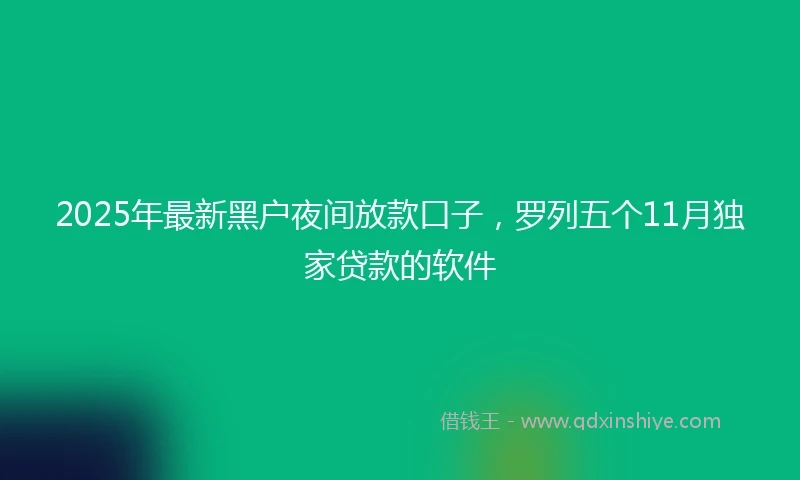 2025年最新黑户夜间放款口子，罗列五个11月独家贷款的软件