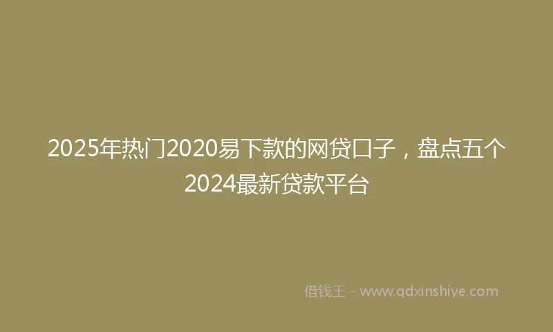 2025年热门2020易下款的网贷口子，盘点五个2024最新贷款平台