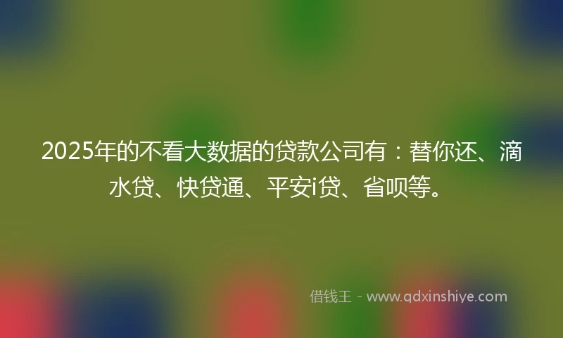 2025年的不看大数据的贷款公司有：替你还、滴水贷、快贷通、平安i贷、省呗等。