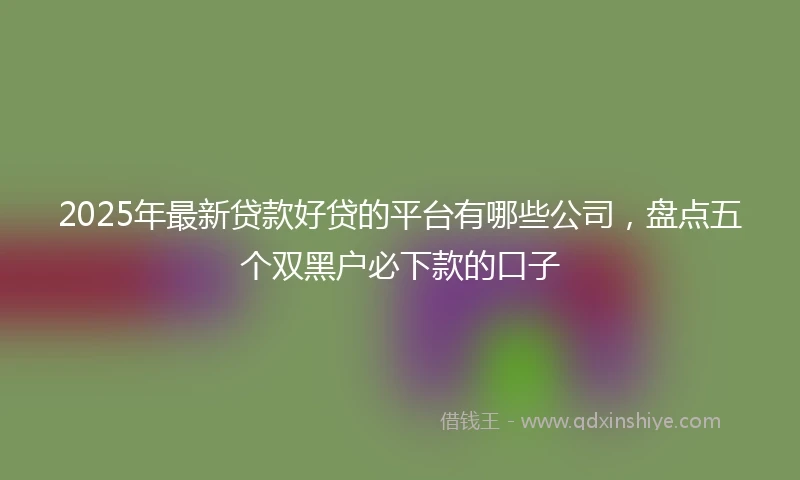 2025年最新贷款好贷的平台有哪些公司，盘点五个双黑户必下款的口子