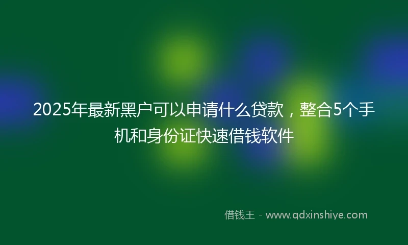 2025年最新黑户可以申请什么贷款，整合5个手机和身份证快速借钱软件