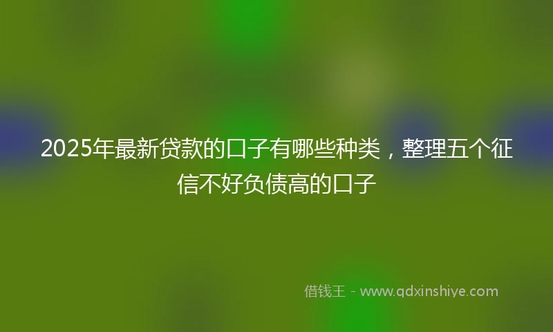 2025年最新贷款的口子有哪些种类，整理五个征信不好负债高的口子
