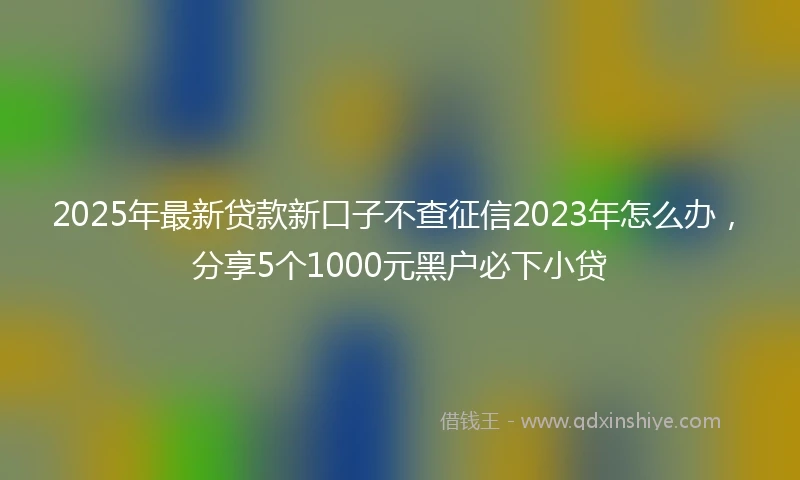 2025年最新贷款新口子不查征信2023年怎么办，分享5个1000元黑户必下小贷