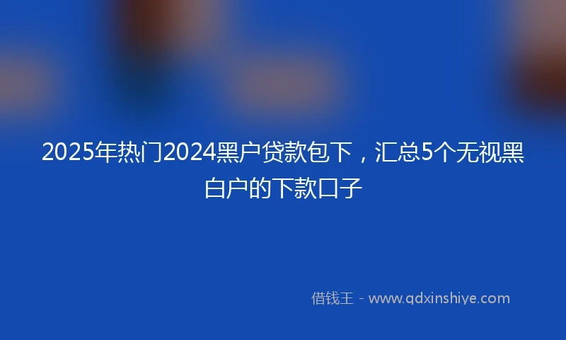 2025年热门2024黑户贷款包下，汇总5个无视黑白户的下款口子