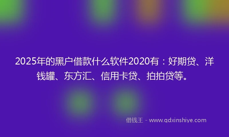 2025年的黑户借款什么软件2020有：好期贷、洋钱罐、东方汇、信用卡贷、拍拍贷等。
