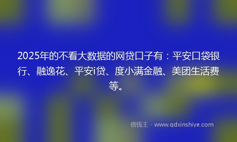 2025年的不看大数据的网贷口子有：平安口袋银行、融逸花、平安i贷、度小满金融、美团生活费等。