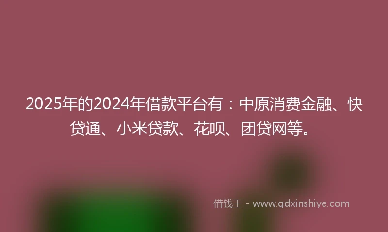 2025年的2024年借款平台有：中原消费金融、快贷通、小米贷款、花呗、团贷网等。