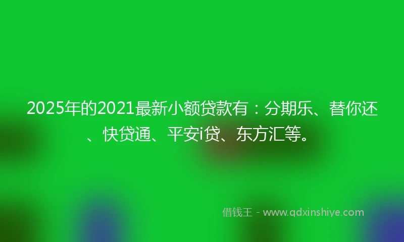 2025年的2021最新小额贷款有：分期乐、替你还、快贷通、平安i贷、东方汇等。
