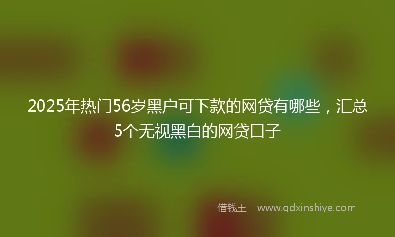 2025年热门56岁黑户可下款的网贷有哪些，汇总5个无视黑白的网贷口子