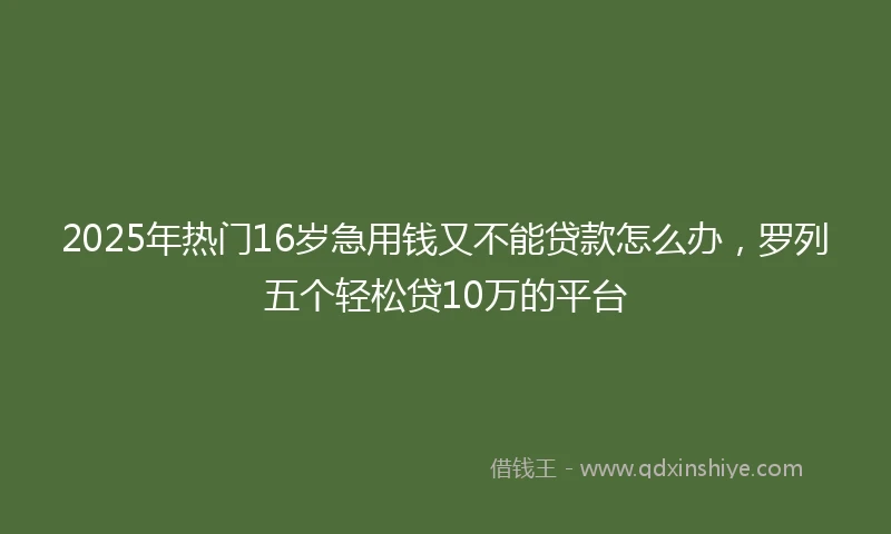 2025年热门16岁急用钱又不能贷款怎么办，罗列五个轻松贷10万的平台