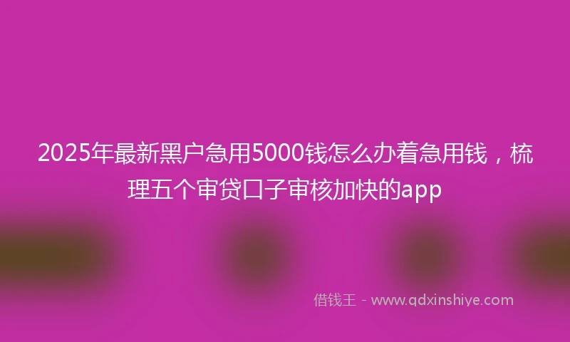 2025年最新黑户急用5000钱怎么办着急用钱，梳理五个审贷口子审核加快的app