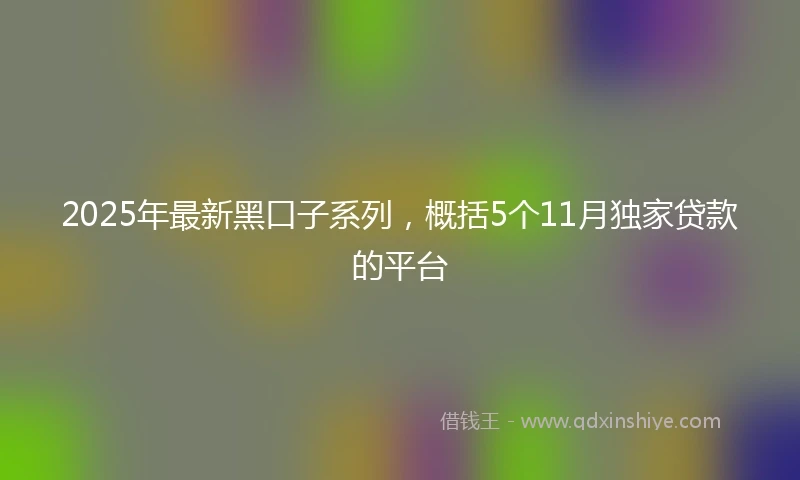 2025年最新黑口子系列，概括5个11月独家贷款的平台