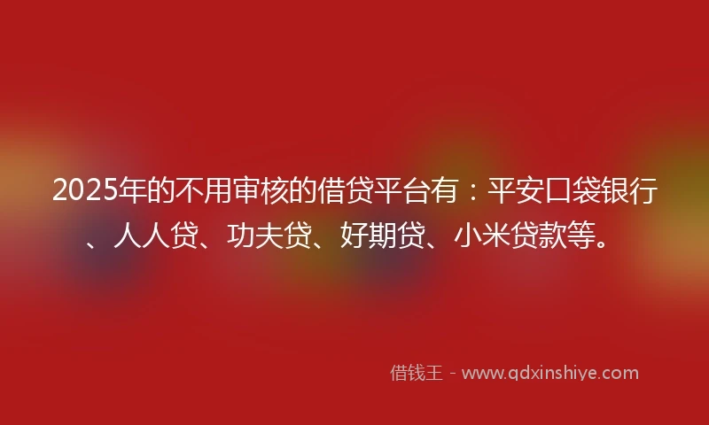 2025年的不用审核的借贷平台有：平安口袋银行、人人贷、功夫贷、好期贷、小米贷款等。
