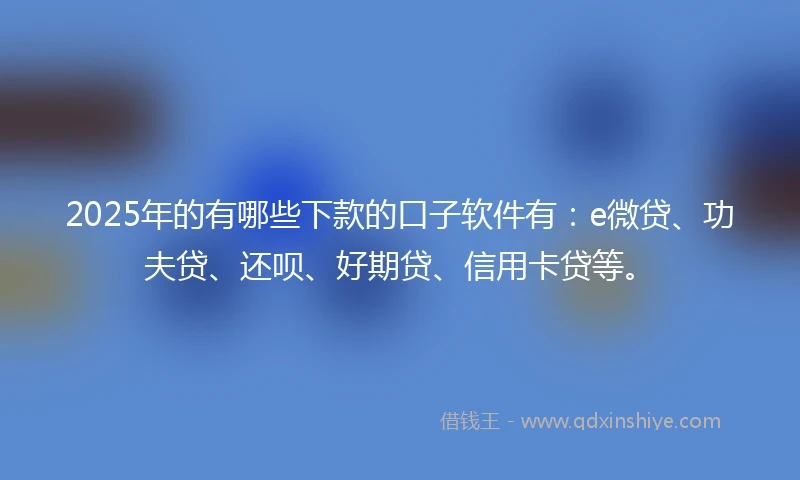 2025年的有哪些下款的口子软件有：e微贷、功夫贷、还呗、好期贷、信用卡贷等。
