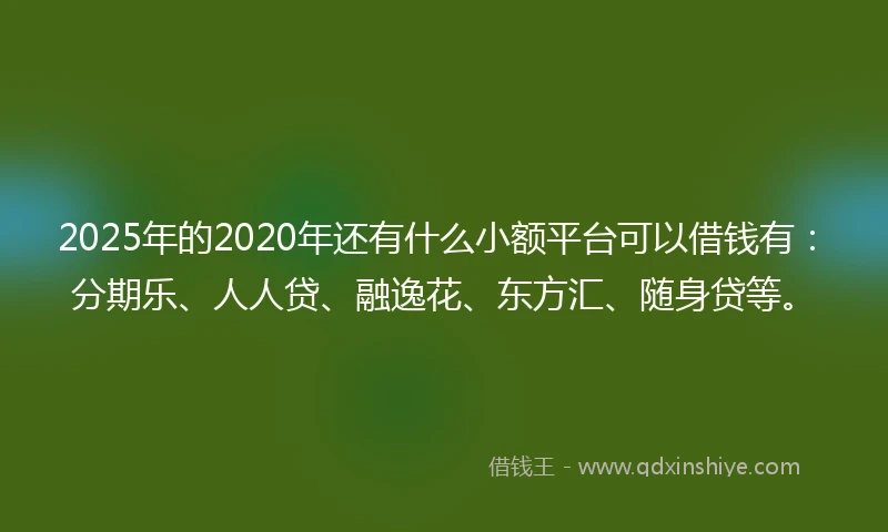 2025年的2020年还有什么小额平台可以借钱有：分期乐、人人贷、融逸花、东方汇、随身贷等。