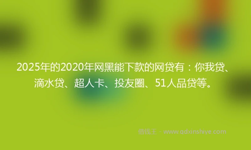 2025年的2020年网黑能下款的网贷有：你我贷、滴水贷、超人卡、投友圈、51人品贷等。