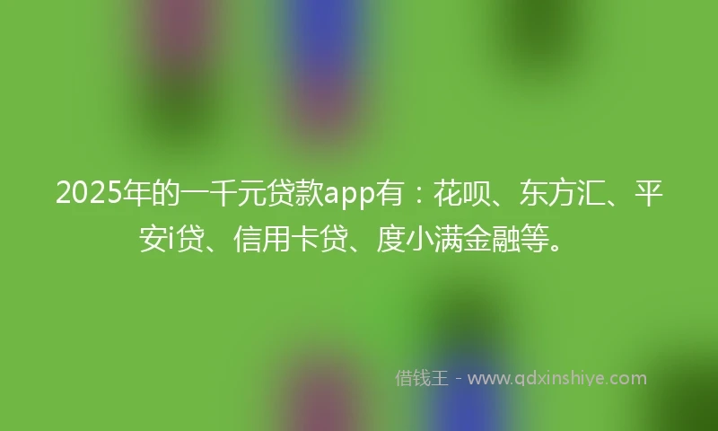 2025年的一千元贷款app有：花呗、东方汇、平安i贷、信用卡贷、度小满金融等。