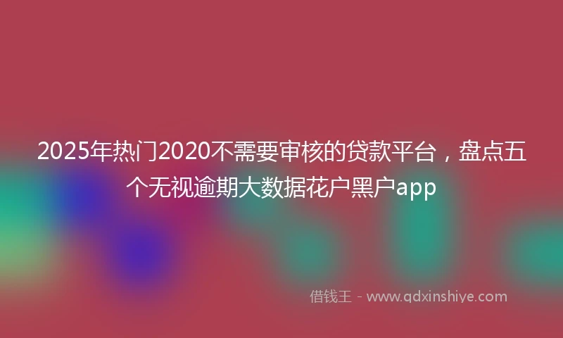 2025年热门2020不需要审核的贷款平台，盘点五个无视逾期大数据花户黑户app