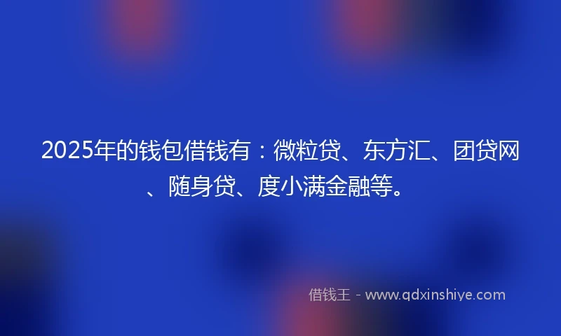 2025年的钱包借钱有：微粒贷、东方汇、团贷网、随身贷、度小满金融等。