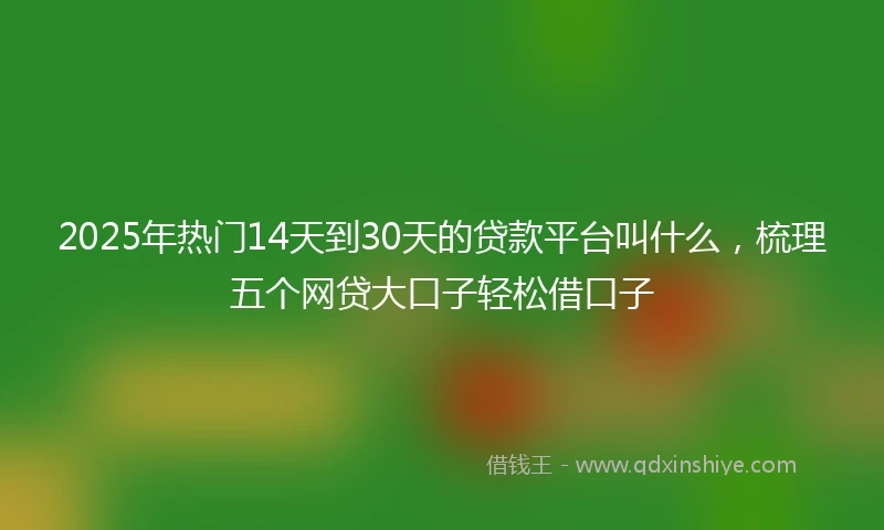 2025年热门14天到30天的贷款平台叫什么，梳理五个网贷大口子轻松借口子