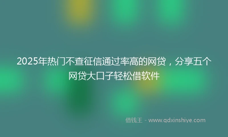 2025年热门不查征信通过率高的网贷，分享五个网贷大口子轻松借软件