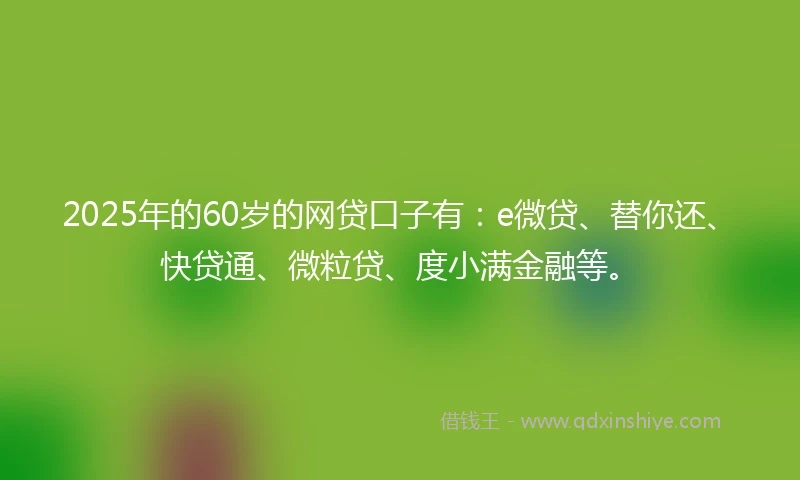 2025年的60岁的网贷口子有：e微贷、替你还、快贷通、微粒贷、度小满金融等。