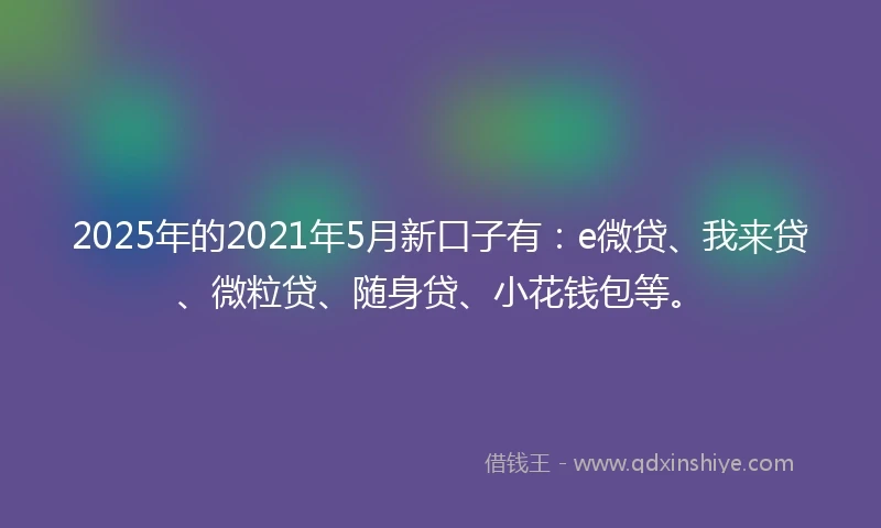 2025年的2021年5月新口子有：e微贷、我来贷、微粒贷、随身贷、小花钱包等。
